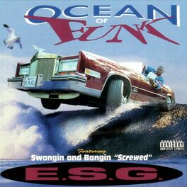 Album cover of Ocean of Funk