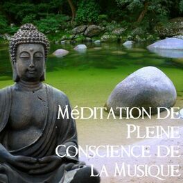 Album cover of Méditation de pleine conscience de la musique - la pratique du yoga et de la musique reiki & ayurveda, spa & massage bien-être, th