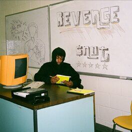 Album cover of Revenge
