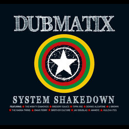 Album cover of System Shakedown