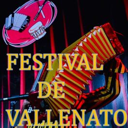 Album cover of Festival de Vallenato