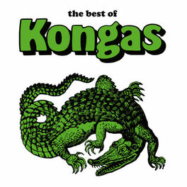 Album cover of The Best Of Kongas