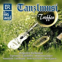 Album cover of Tanzlmusi Treffen