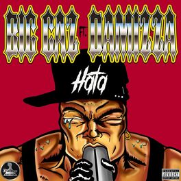 Album cover of Hata