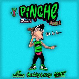 Album cover of Pinche Party (Remix)