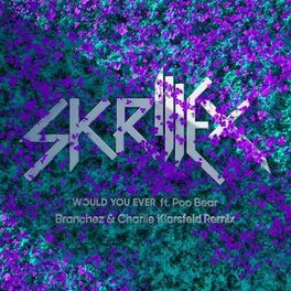 Album cover of Would You Ever (Branchez & Charlie Klarsfeld Remix)