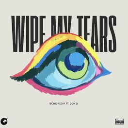 Album cover of Wipe My Tears (feat. Don Q)