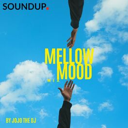 Album cover of The Mellow Mood Mix (DJ Mix)