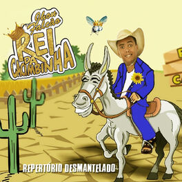 Album cover of Repertório Desmantelado