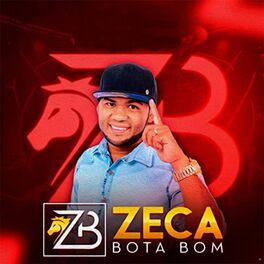 Album cover of Zeca Bota Bom