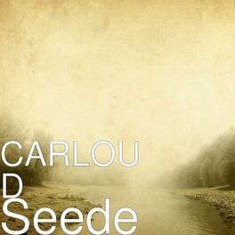 Album cover of Seede