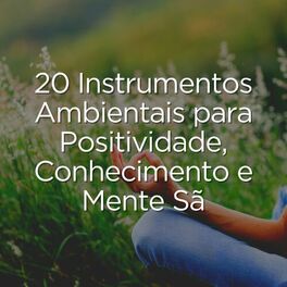 Album cover of 20 Instrumentos Ambientais Para Positividade, Conhecimento E Mente Sã