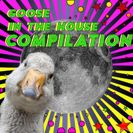 Album cover of Goose In The House COMPILATION