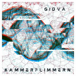 Album cover of Kammerflimmern