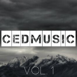 Album cover of CedMusic Vol. 1