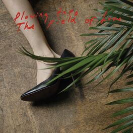 Album cover of Plowing Into the Field of Love