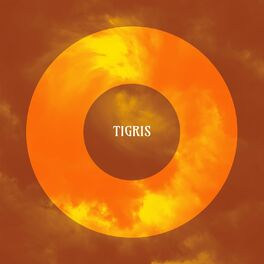 Album cover of Tigris