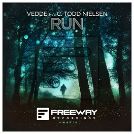 Album cover of Run (Original Mix)