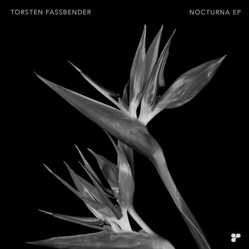  Torsten Fassbender - Nocturna (2023) 