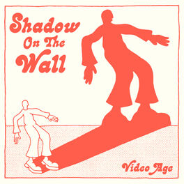 Album cover of Shadow On The Wall