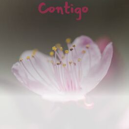 Album cover of Contigo