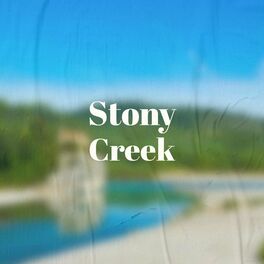 Album cover of Stony Creek