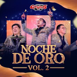 Album cover of Noche de Oro, Vol. 2 (En Vivo)