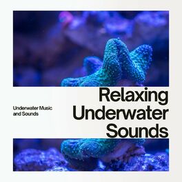 Album cover of Relaxing Underwater Sounds