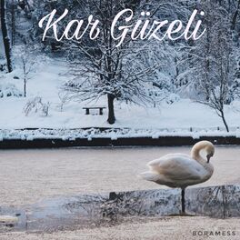 Album cover of Kar Güzeli