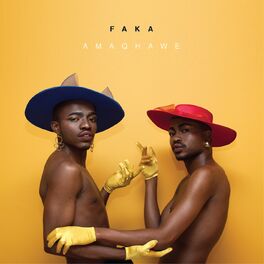 Album cover of Amaqhawe