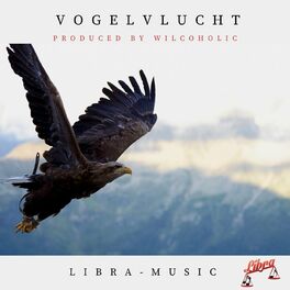 Album cover of Vogelvlucht