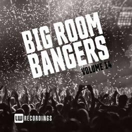 Album cover of Big Room Bangers, Vol. 14