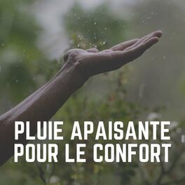 Album cover of Pluie Apaisante Pour Le Confort