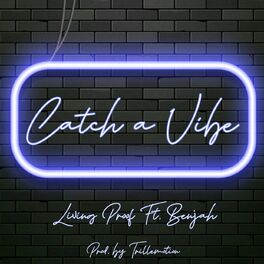 Album cover of Catch a Vibe