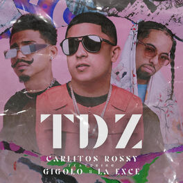 Album cover of Tdz