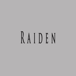Album cover of Raiden (feat. Gravy Beats)