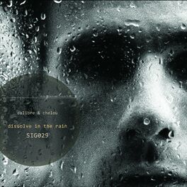 Album cover of Dissolve In The Rain