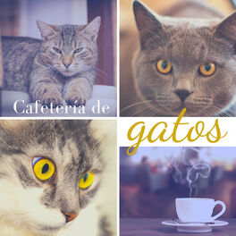 Album cover of Cafetería de Gatos: Música de Fondo Relajante y Hermosa para Cat Café