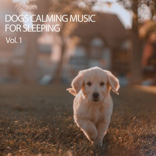 over-6-hours-of-calming-dog-music-for-new-puppies-with-separation