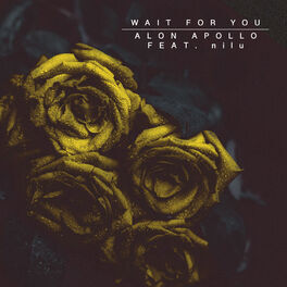 Album cover of Wait for You