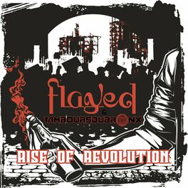 Album cover of Rise Of Revolution