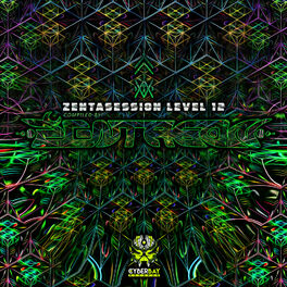Album cover of Zentasession Level 12