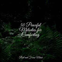 Album cover of 50 Peaceful Melodies for Comforting