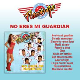 Album cover of No Eres Mi Guardián