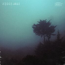 Album cover of Ficciones