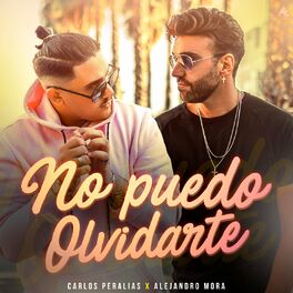 Album cover of No Puedo Olvidarte