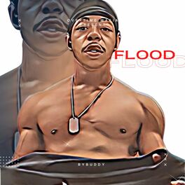 Album cover of FLOOD