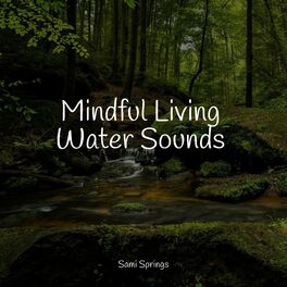 Album cover of Mindful Living Water Sounds