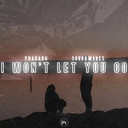 Album cover of I Won't Let You Go