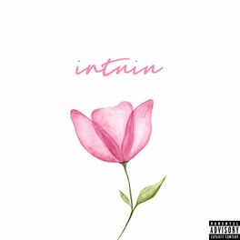 Album cover of Intuiu